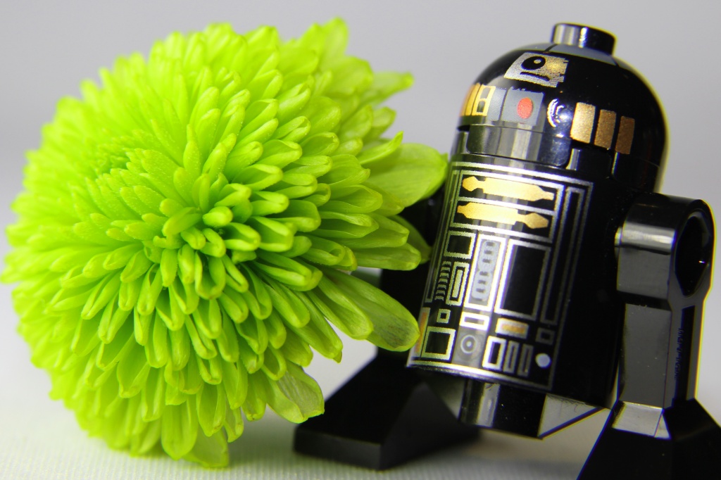 R2D2 is bringing a flower to his girlfriend... by northy