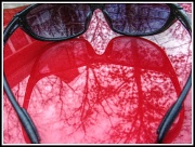16th Mar 2012 - Sunglasses