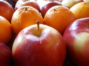 16th Mar 2012 - Apples and Oranges