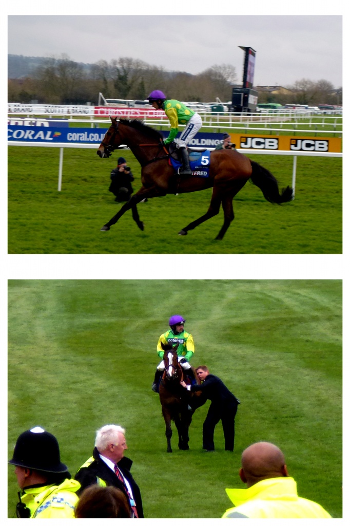 Kauto Star ~ The best racehorse of all time. by seanoneill