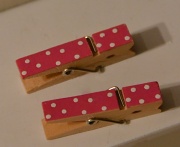 16th Mar 2012 - Pink pegs