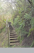 17th Mar 2012 - Staircase to No Where