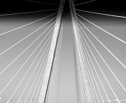 16th Mar 2012 - Ravenal Bridge, Charleston, SC