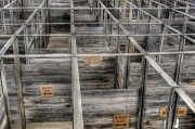 17th Mar 2012 - Stockyards Maze