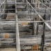 Stockyards Maze by lynne5477