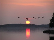 17th Mar 2012 - Sunset Flight