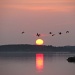 Sunset Flight by rrt