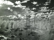 17th Mar 2012 - infrared and sunflare on the Molonglo River, Coppins Crossing