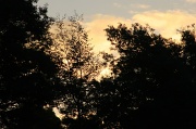 18th Mar 2012 - Sundown