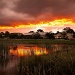 suburban sky fire by ltodd
