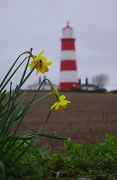 18th Mar 2012 - Happisburgh Lighthouse