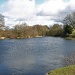 Calm as a Mill Pond? by shepherdman
