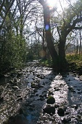11th Mar 2012 - Woodland Stream