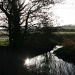 Thurlaston Brook by shepherdman