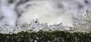 18th Mar 2012 - water shapes