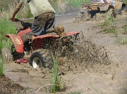 18th Mar 2012 - Mud Races