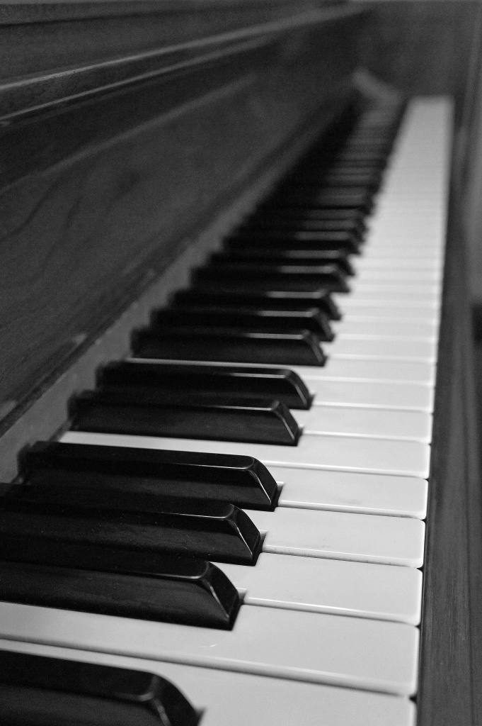 piano keys by dmdfday