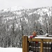 On the deck at Paradise Lodge by kiwichick