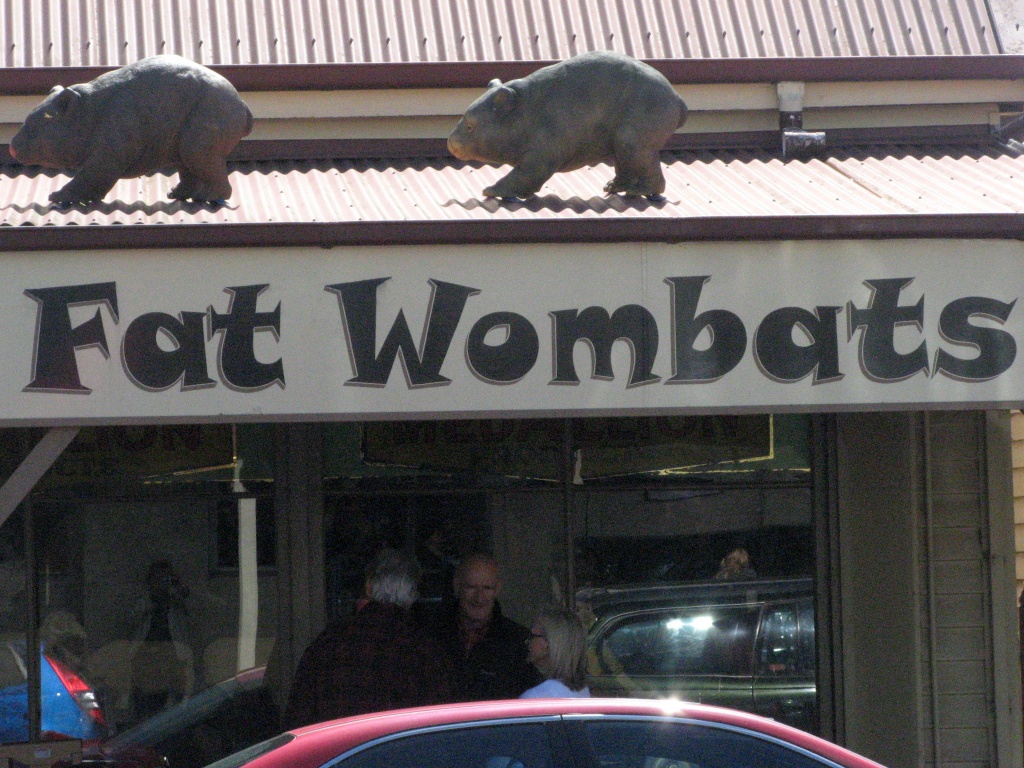 Two Fat Wombats by marguerita