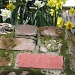 Springtime Opposites by alophoto