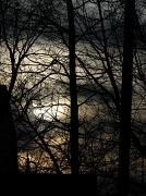 17th Mar 2012 - Twilight