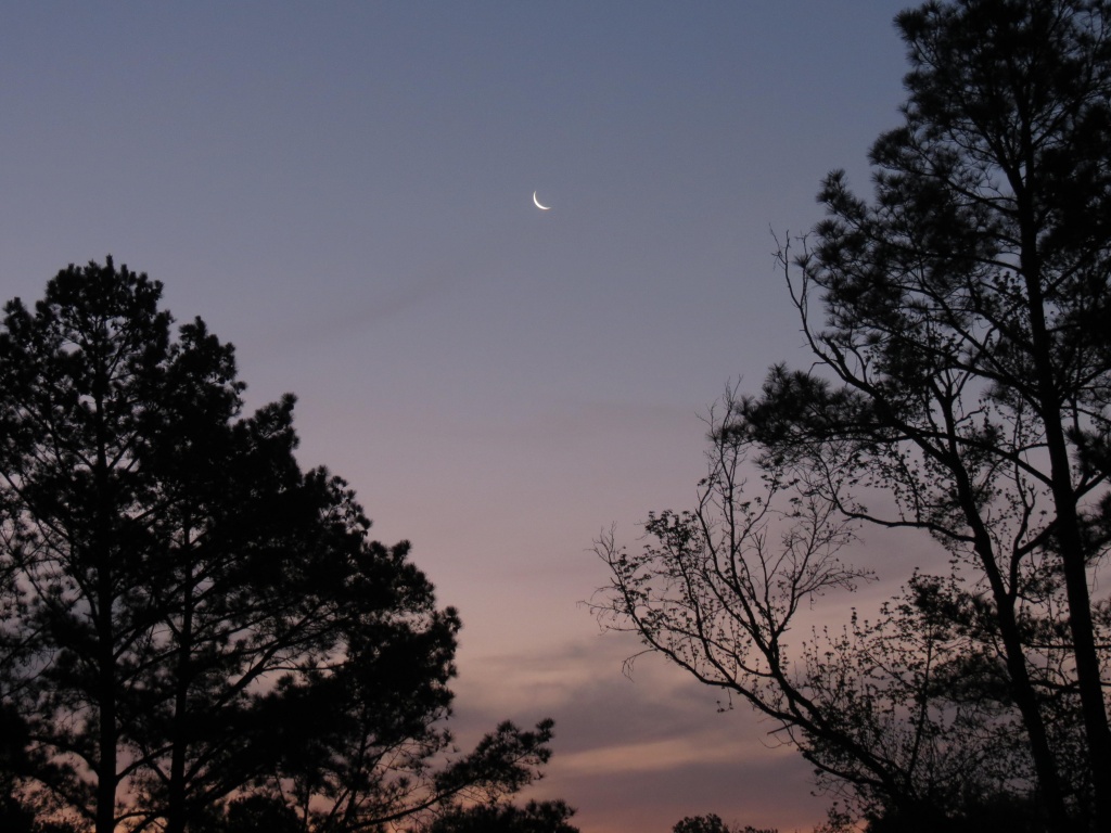 Good Morning Moon by grammyn