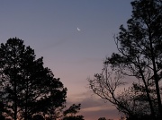 19th Mar 2012 - Good Morning Moon