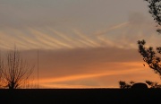 19th Mar 2012 - Sunrise Spikes