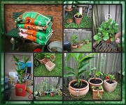 20th Mar 2012 - Garden Revamp - Part One