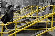 20th Mar 2012 - Yellow