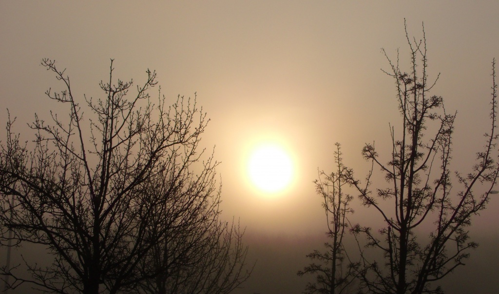 Foggy Sunrise by lizzybean