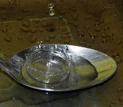 20th Mar 2012 - Water Crown
