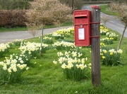 20th Mar 2012 - Village postbox.