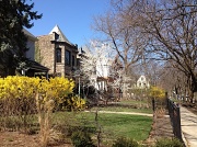 18th Mar 2012 - More Early Spring in Chicago