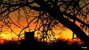 21st Mar 2012 - Early Morning Sky