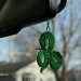 077 New Shamrock from a friend by pennyrae