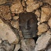079 face in a wall by pennyrae