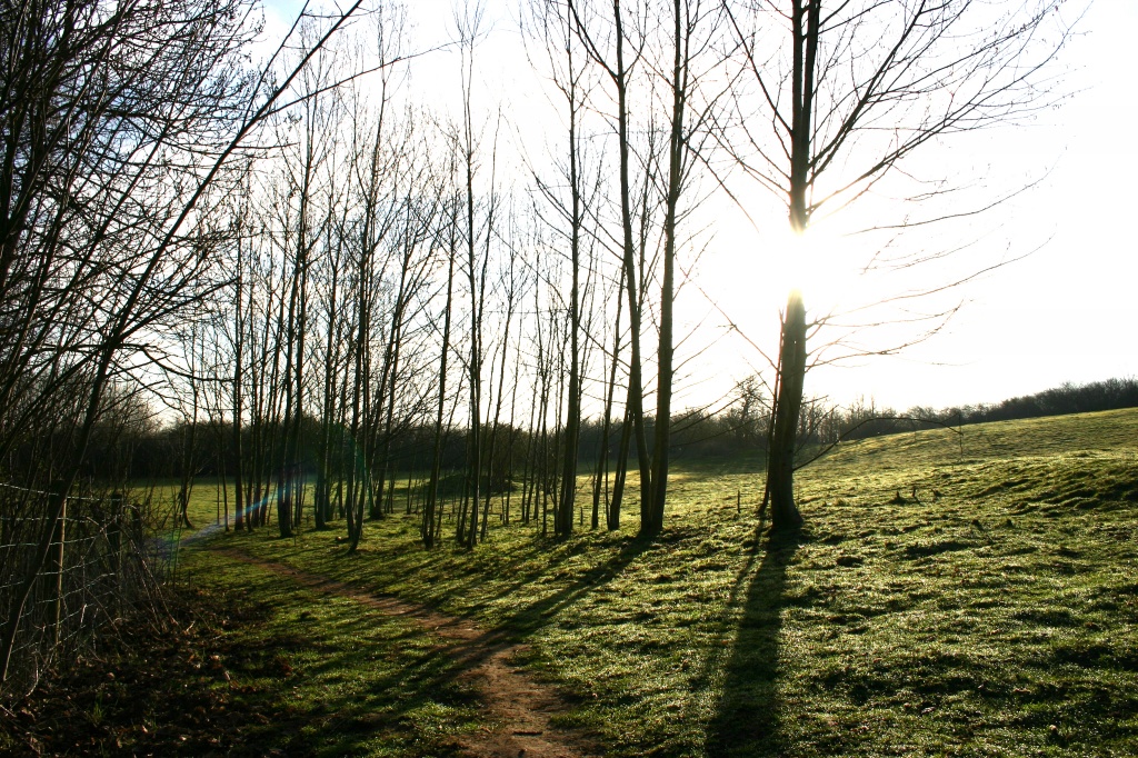 Morning sunshine on Croft Hill by shepherdman