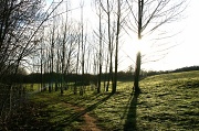 19th Mar 2012 - Morning sunshine on Croft Hill