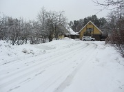 19th Mar 2012 - Snowing IMG_4283