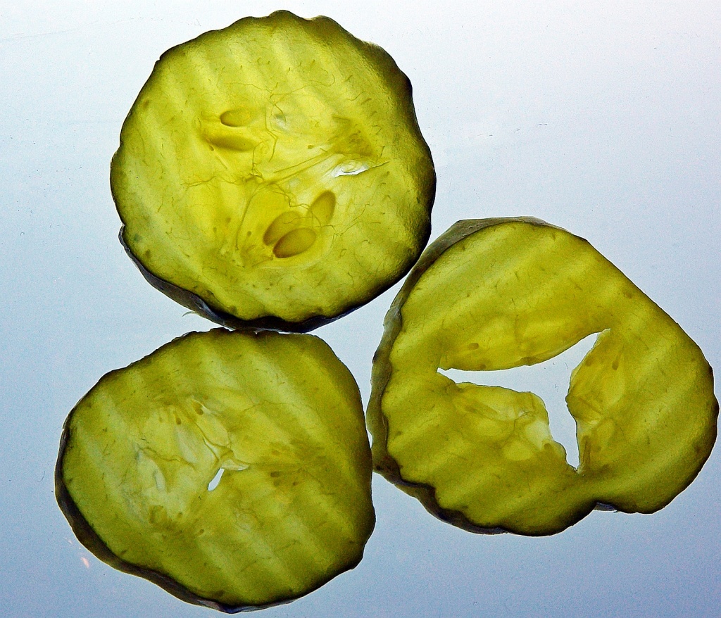 (Day 26) - X-ray Pickles by cjphoto