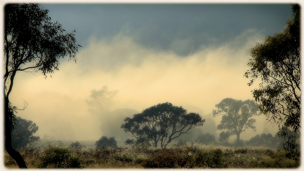 mountain mist by ltodd