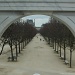 Jardin Tuileries & Le Louvre by parisouailleurs
