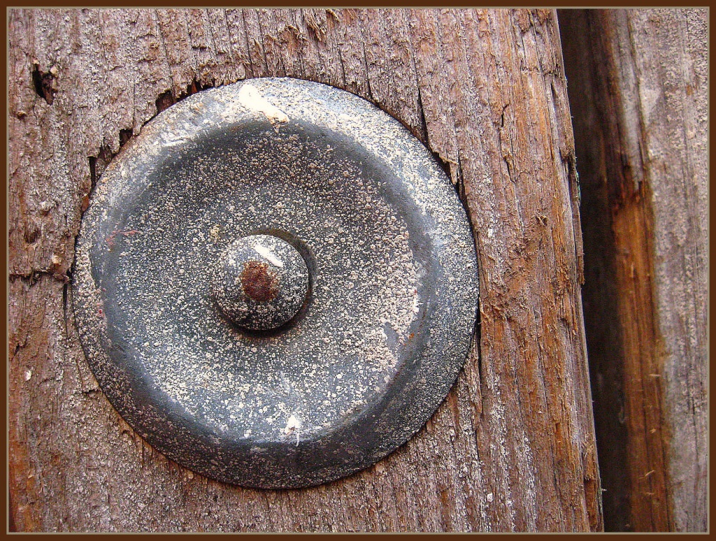 Old Ladder Abstract by olivetreeann