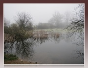 23rd Mar 2012 - Foggy morning
