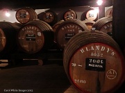 18th Mar 2012 - Have some Madeira M'Dear!!