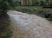 23rd Mar 2012 - Flood