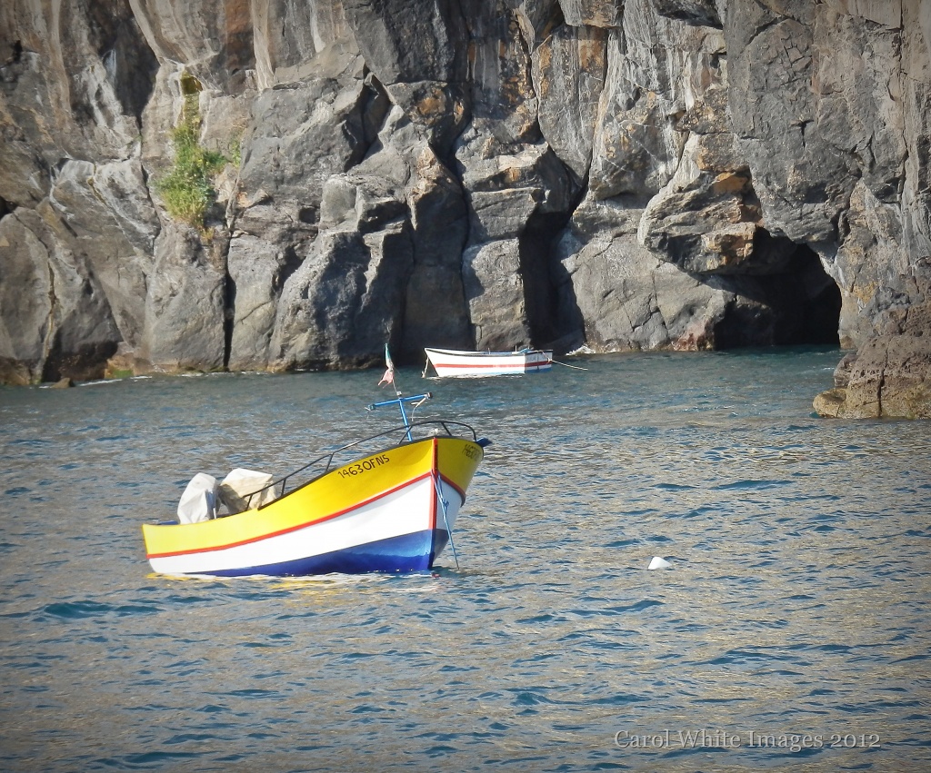 Fishing Boat just off Funchal,Madeira by carolmw