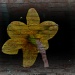 Daffodil On Brick by digitalrn