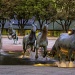 Bronze Mustangs by lynne5477